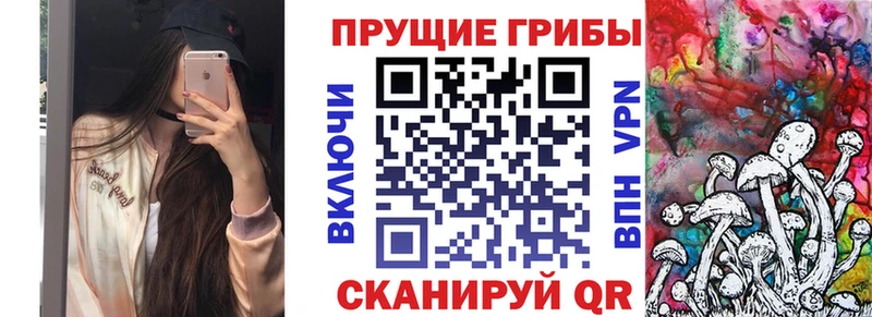 Псилоцибиновые грибы Cubensis Воткинск